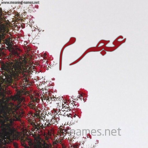 شكل 18 صوره الورد الأحمر للإسم بخط رقعة صورة اسم عجرم AGRM