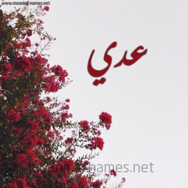 شكل 18 صوره الورد الأحمر للإسم بخط رقعة صورة اسم عدي عُدَيّ-Ady