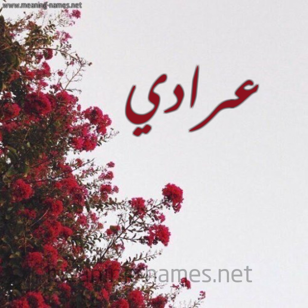 شكل 18 صوره الورد الأحمر للإسم بخط رقعة صورة اسم عرادي Arady