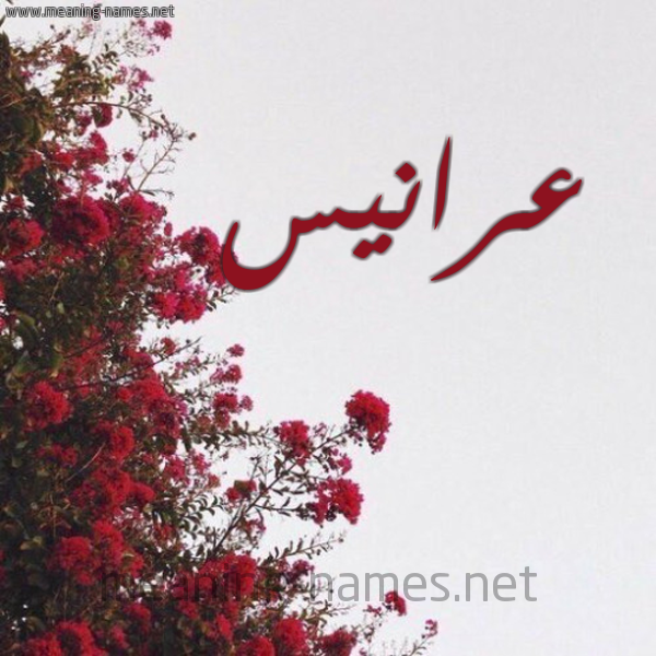 شكل 18 صوره الورد الأحمر للإسم بخط رقعة صورة اسم عرانيس Aranys