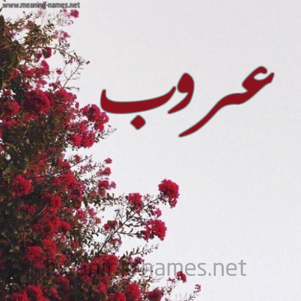 شكل 18 صوره الورد الأحمر للإسم بخط رقعة صورة اسم عروب Arwb