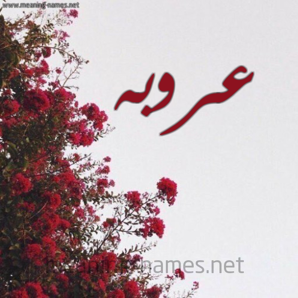 شكل 18 صوره الورد الأحمر للإسم بخط رقعة صورة اسم عروبه oroba