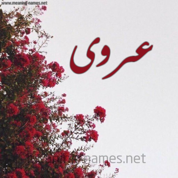 شكل 18 صوره الورد الأحمر للإسم بخط رقعة صورة اسم عروى Arwa