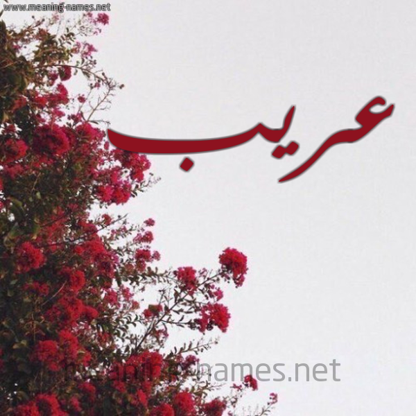 شكل 18 صوره الورد الأحمر للإسم بخط رقعة صورة اسم عريب Orayb