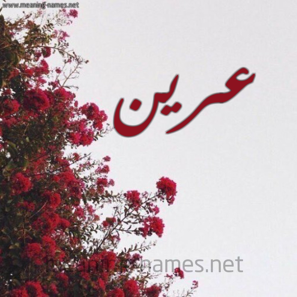 شكل 18 صوره الورد الأحمر للإسم بخط رقعة صورة اسم عرين 3reen