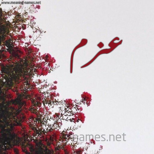 شكل 18 صوره الورد الأحمر للإسم بخط رقعة صورة اسم عزم Azm