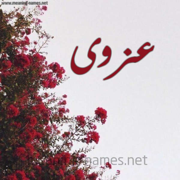 شكل 18 صوره الورد الأحمر للإسم بخط رقعة صورة اسم عزوى AZOA