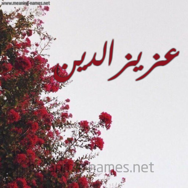 شكل 18 صوره الورد الأحمر للإسم بخط رقعة صورة اسم عزيزالدين Azyzaldyn