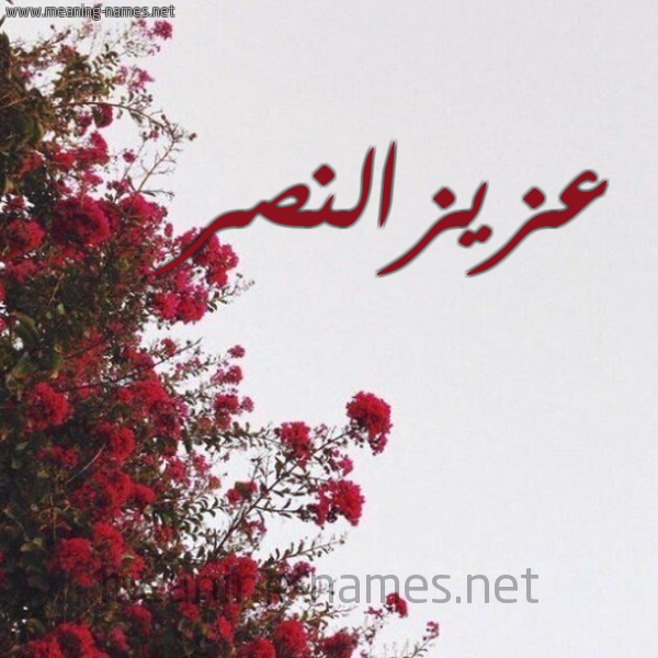 شكل 18 صوره الورد الأحمر للإسم بخط رقعة صورة اسم عزيزالنصر Azyzalnsr