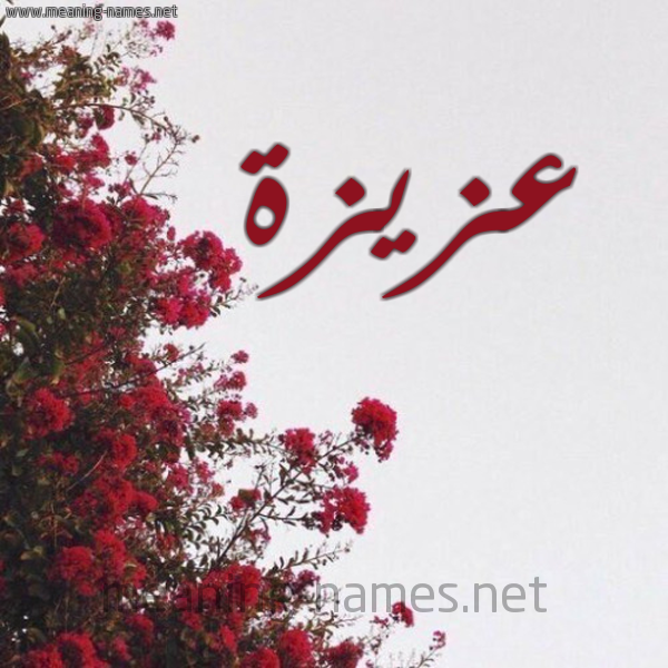 شكل 18 صوره الورد الأحمر للإسم بخط رقعة صورة اسم عزيزة Azyzh
