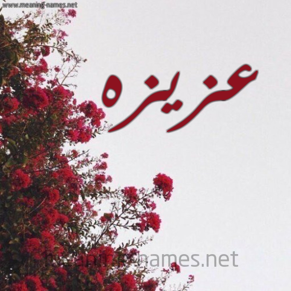 شكل 18 صوره الورد الأحمر للإسم بخط رقعة صورة اسم عزيزه Aziza