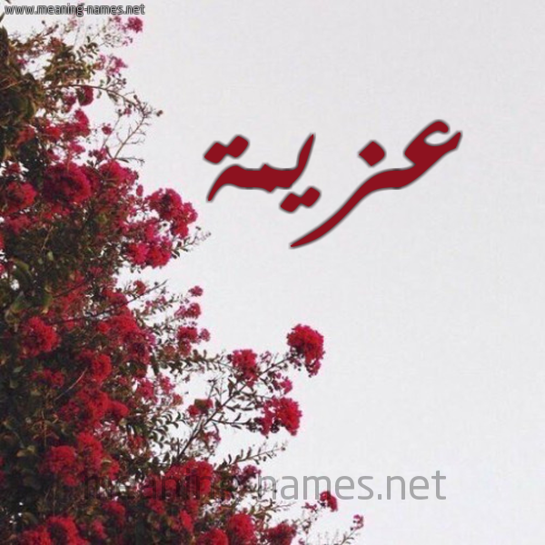 شكل 18 صوره الورد الأحمر للإسم بخط رقعة صورة اسم عزيمة Azymh