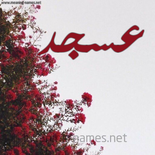 شكل 18 صوره الورد الأحمر للإسم بخط رقعة صورة اسم عسجد Asjd