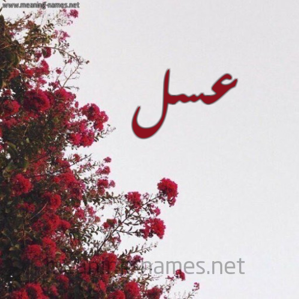 شكل 18 صوره الورد الأحمر للإسم بخط رقعة صورة اسم عسل Asl