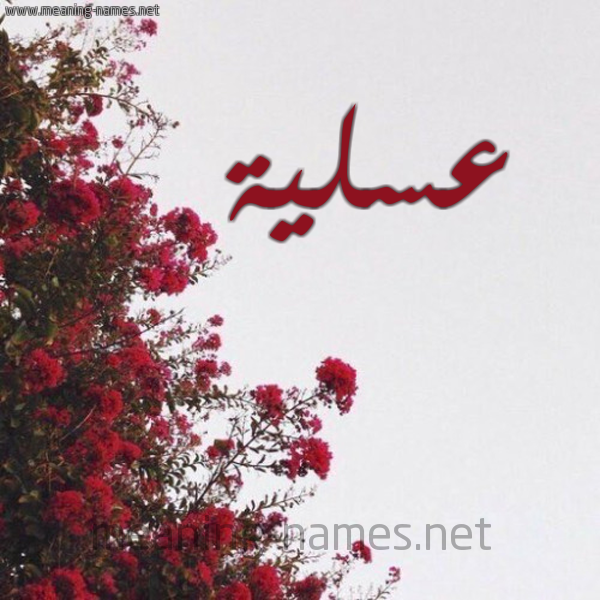 شكل 18 صوره الورد الأحمر للإسم بخط رقعة صورة اسم عسلية Aslyh