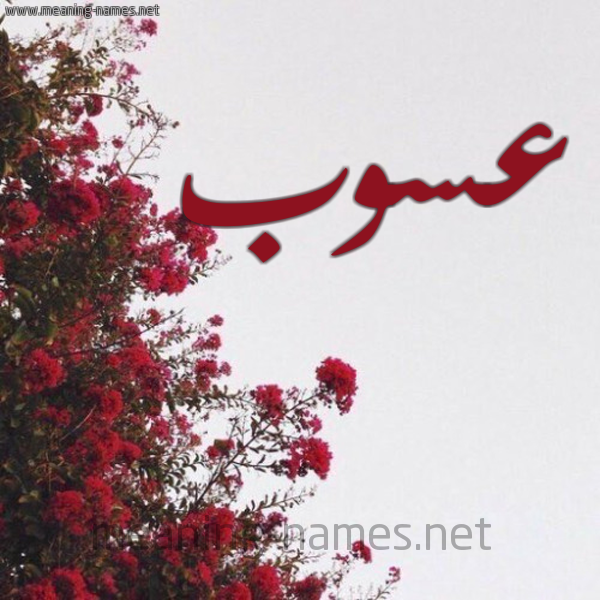 شكل 18 صوره الورد الأحمر للإسم بخط رقعة صورة اسم عسوب Aswb