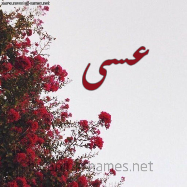 شكل 18 صوره الورد الأحمر للإسم بخط رقعة صورة اسم عسى assa