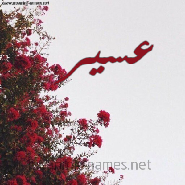 شكل 18 صوره الورد الأحمر للإسم بخط رقعة صورة اسم عسير ASIR