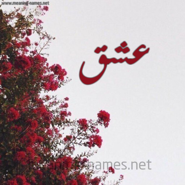 شكل 18 صوره الورد الأحمر للإسم بخط رقعة صورة اسم عشق Ashq