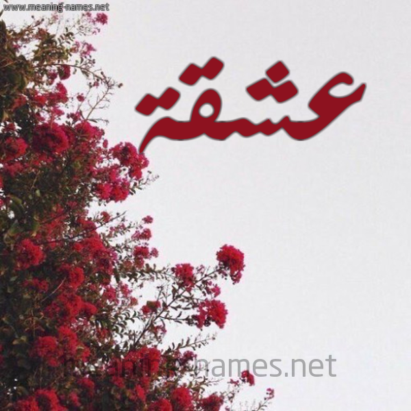 شكل 18 صوره الورد الأحمر للإسم بخط رقعة صورة اسم عشقة Ashqh