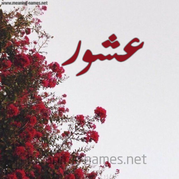 شكل 18 صوره الورد الأحمر للإسم بخط رقعة صورة اسم عشور Ashwr