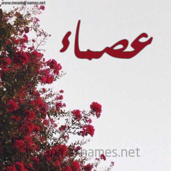 شكل 18 صوره الورد الأحمر للإسم بخط رقعة صورة اسم عصماء Asma'a