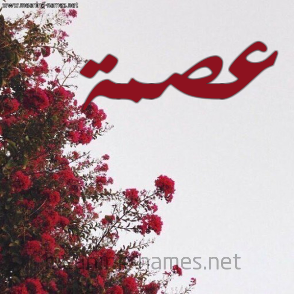 شكل 18 صوره الورد الأحمر للإسم بخط رقعة صورة اسم عصمة عِصْمةُ-Asmh