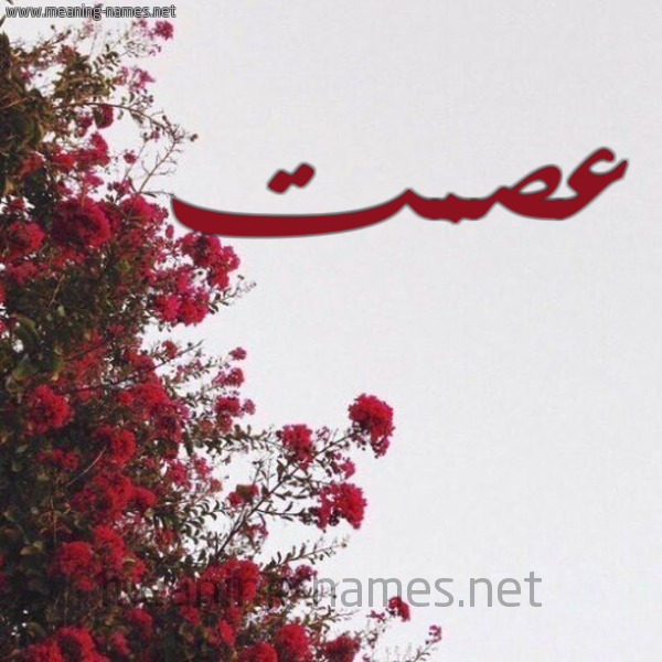 شكل 18 صوره الورد الأحمر للإسم بخط رقعة صورة اسم عصمت Ismat