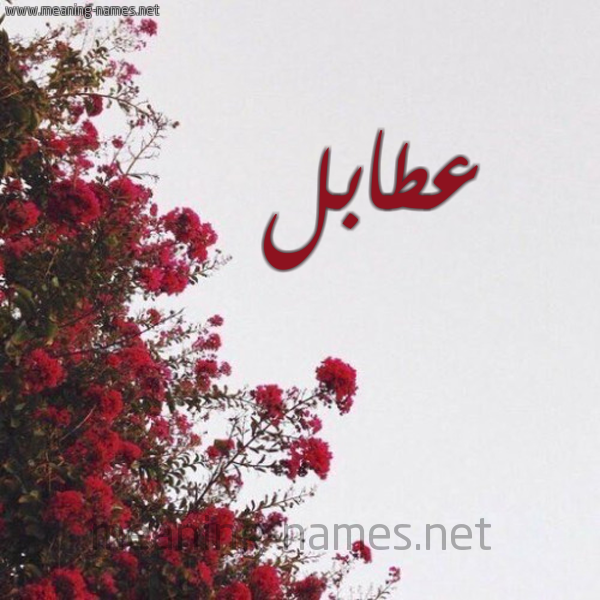 شكل 18 صوره الورد الأحمر للإسم بخط رقعة صورة اسم عطابل Atabl