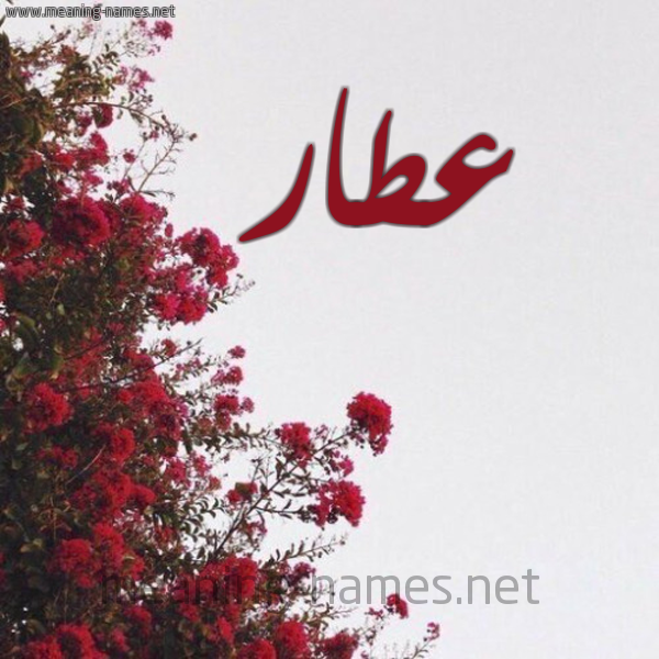 شكل 18 صوره الورد الأحمر للإسم بخط رقعة صورة اسم عطار Atar