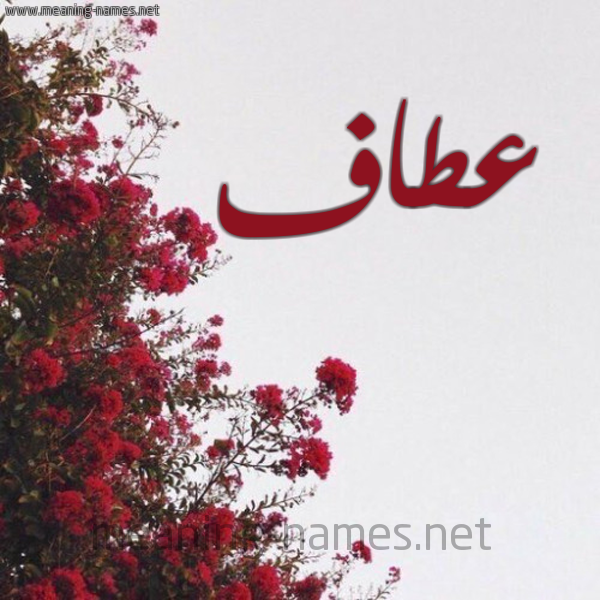 شكل 18 صوره الورد الأحمر للإسم بخط رقعة صورة اسم عطاف Ataf