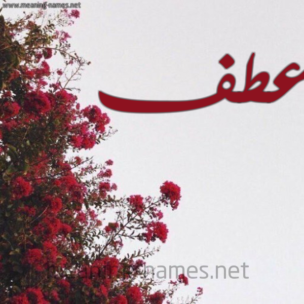 شكل 18 صوره الورد الأحمر للإسم بخط رقعة صورة اسم عطف Atf