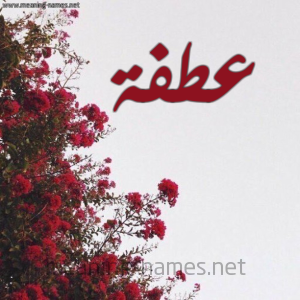 شكل 18 صوره الورد الأحمر للإسم بخط رقعة صورة اسم عطفة Atfh