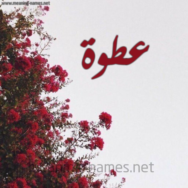 شكل 18 صوره الورد الأحمر للإسم بخط رقعة صورة اسم عطوة Atwh