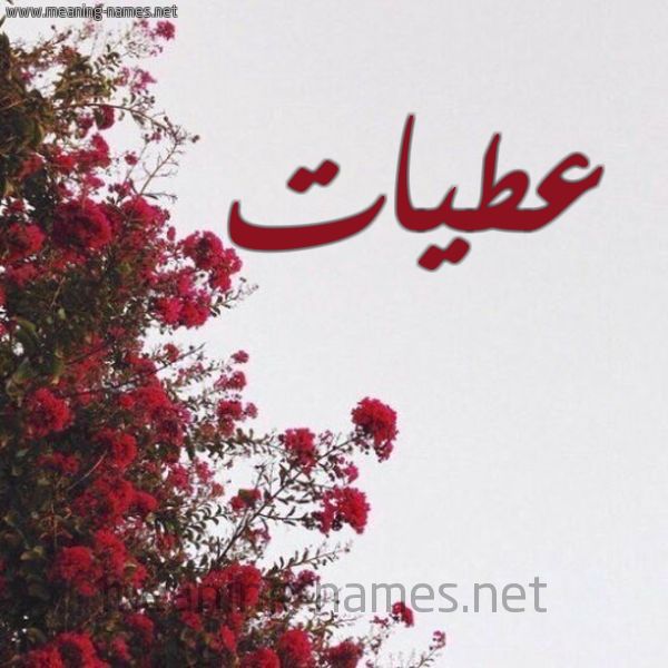 شكل 18 صوره الورد الأحمر للإسم بخط رقعة صورة اسم عطيات Atiat
