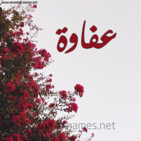 شكل 18 صوره الورد الأحمر للإسم بخط رقعة صورة اسم عفاوة Afawh