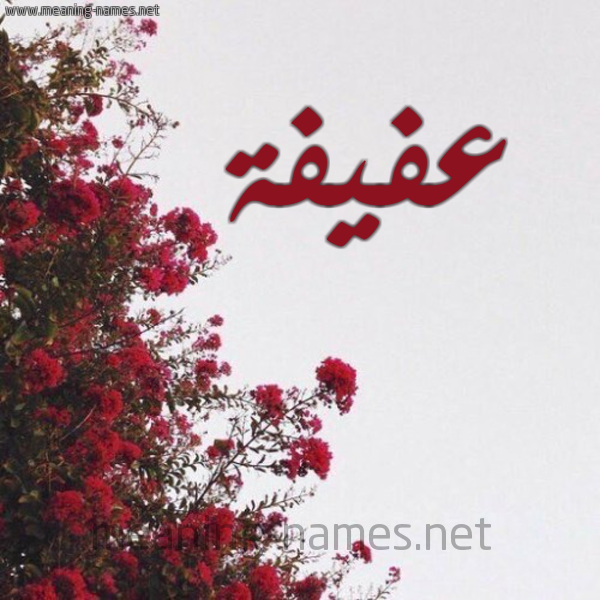 شكل 18 صوره الورد الأحمر للإسم بخط رقعة صورة اسم عفيفة Afifa