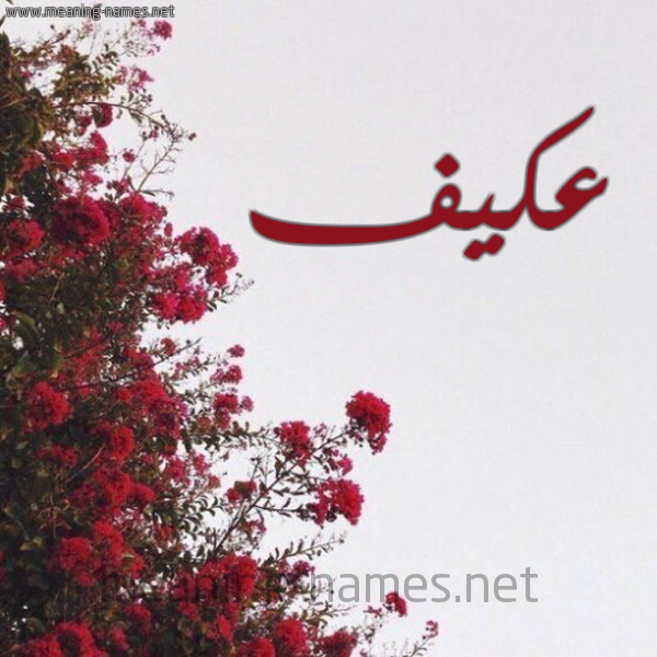 شكل 18 صوره الورد الأحمر للإسم بخط رقعة صورة اسم عكيف Akyf