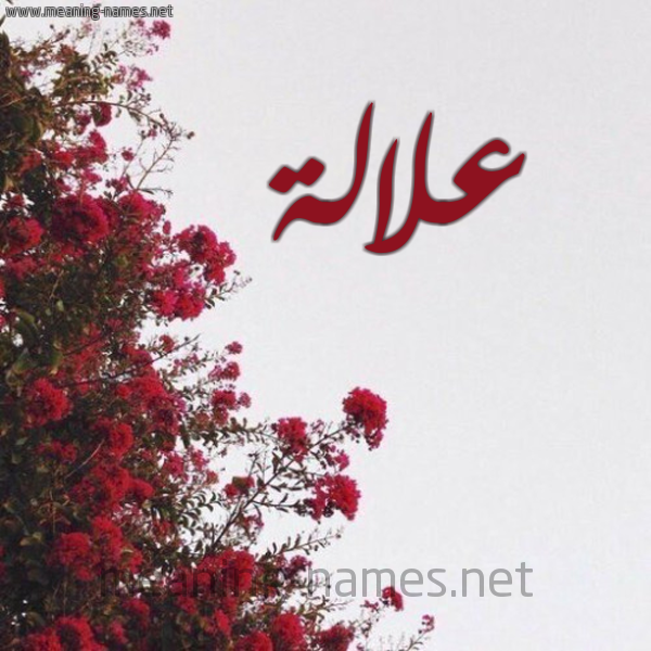 شكل 18 صوره الورد الأحمر للإسم بخط رقعة صورة اسم علالة Alalh