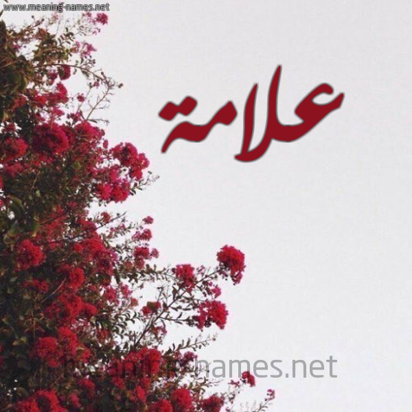 شكل 18 صوره الورد الأحمر للإسم بخط رقعة صورة اسم علامة Alamh