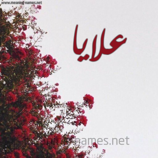 شكل 18 صوره الورد الأحمر للإسم بخط رقعة صورة اسم علايا Alaya