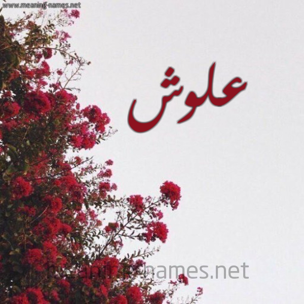 شكل 18 صوره الورد الأحمر للإسم بخط رقعة صورة اسم علوش Alwsh