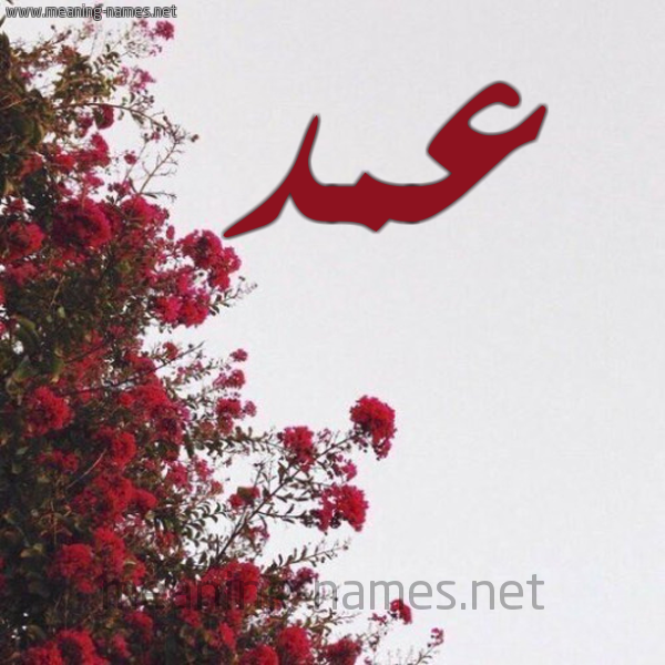 شكل 18 صوره الورد الأحمر للإسم بخط رقعة صورة اسم عمد Amd