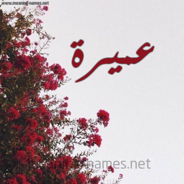 شكل 18 صوره الورد الأحمر للإسم بخط رقعة صورة اسم عميرة omira