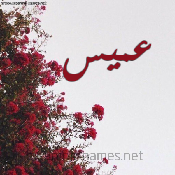 شكل 18 صوره الورد الأحمر للإسم بخط رقعة صورة اسم عميس AMIS