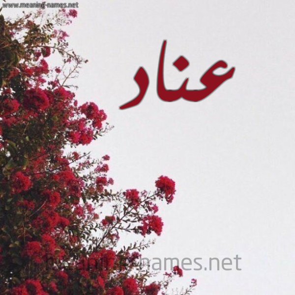 شكل 18 صوره الورد الأحمر للإسم بخط رقعة صورة اسم عناد Anad