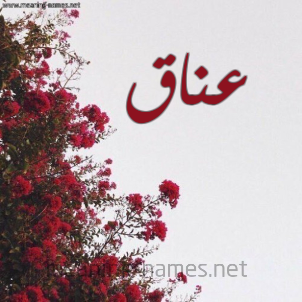 شكل 18 صوره الورد الأحمر للإسم بخط رقعة صورة اسم عناق Anaq