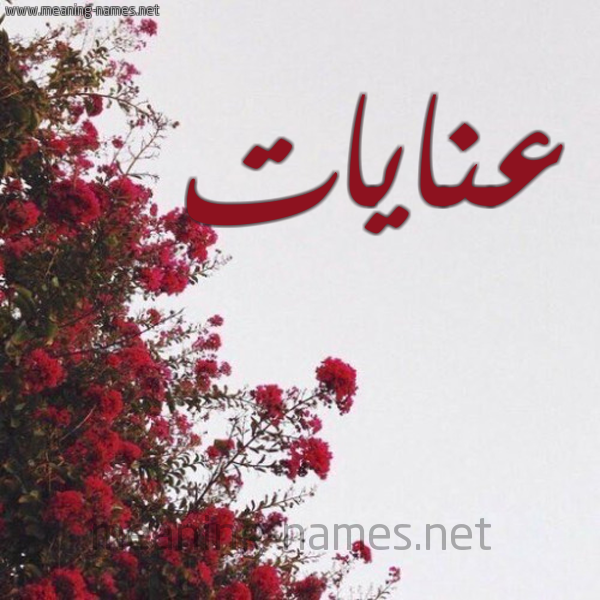 شكل 18 صوره الورد الأحمر للإسم بخط رقعة صورة اسم عنايات Anayat