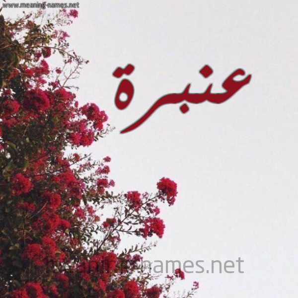 شكل 18 صوره الورد الأحمر للإسم بخط رقعة صورة اسم عنبرة Anbara