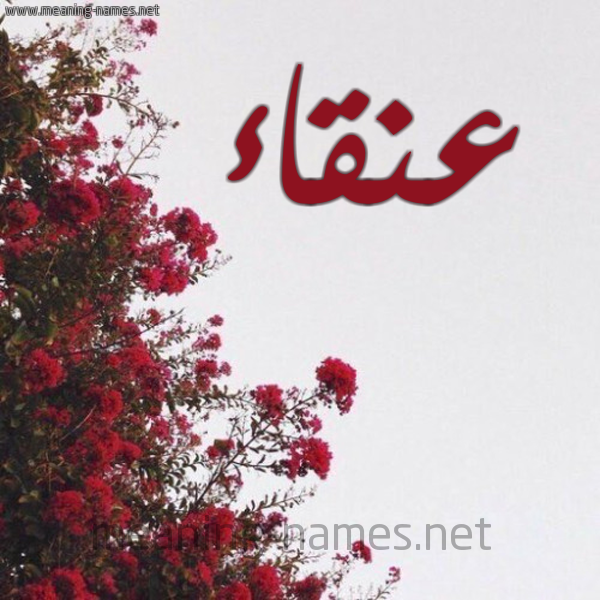 شكل 18 صوره الورد الأحمر للإسم بخط رقعة صورة اسم عنقاء Anqa"a